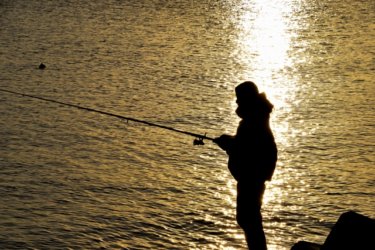 <strong>魚の釣れやすさがわかる「</strong><strong>BI</strong><strong>」とは？</strong>